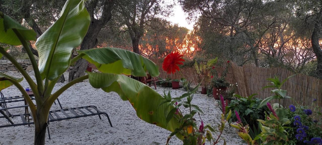 Villa Olive Garden, Kastanida - Paxoi Гайос Екстериор снимка