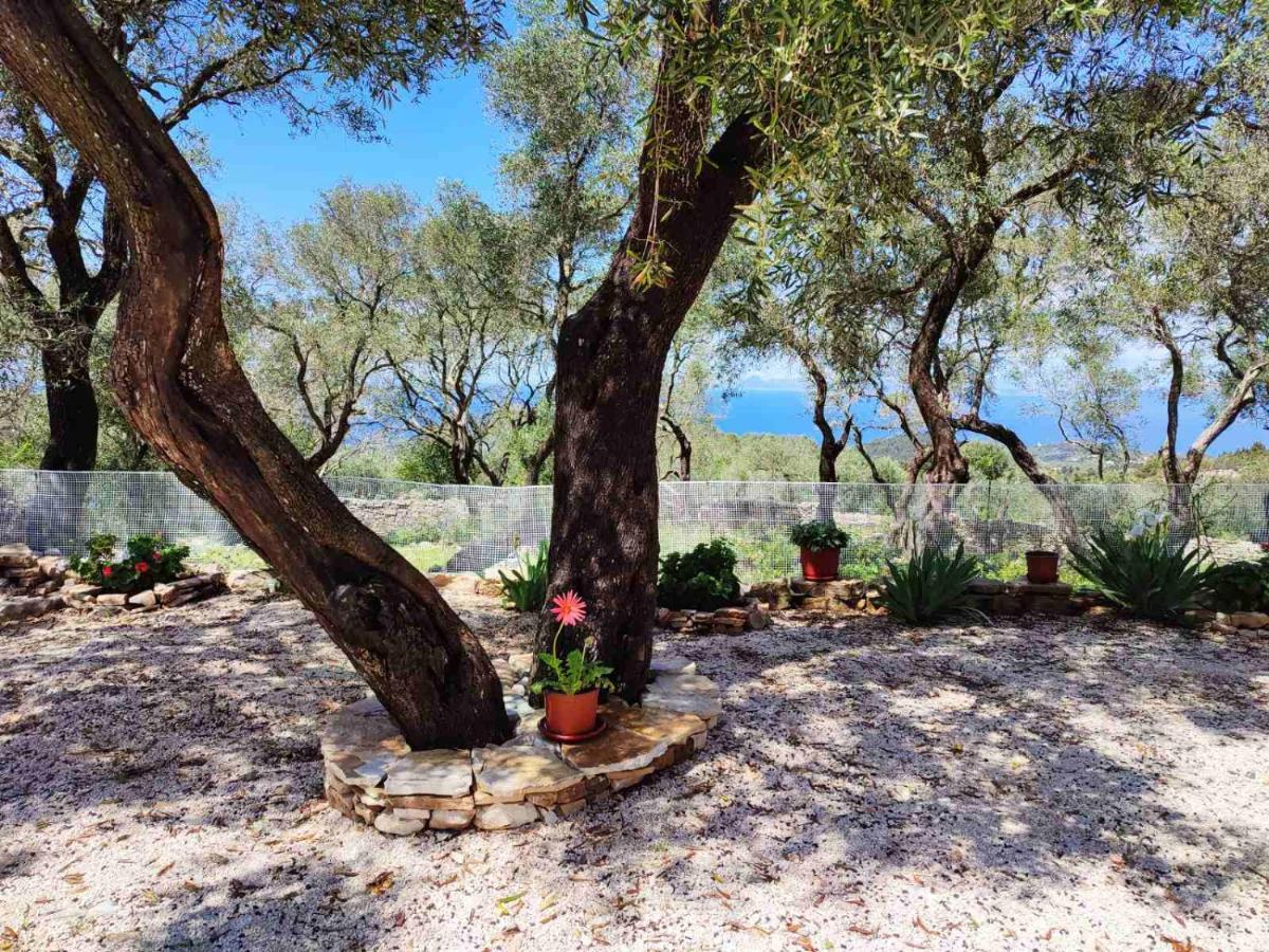 Villa Olive Garden, Kastanida - Paxoi Гайос Екстериор снимка