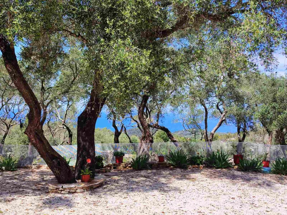 Villa Olive Garden, Kastanida - Paxoi Гайос Екстериор снимка