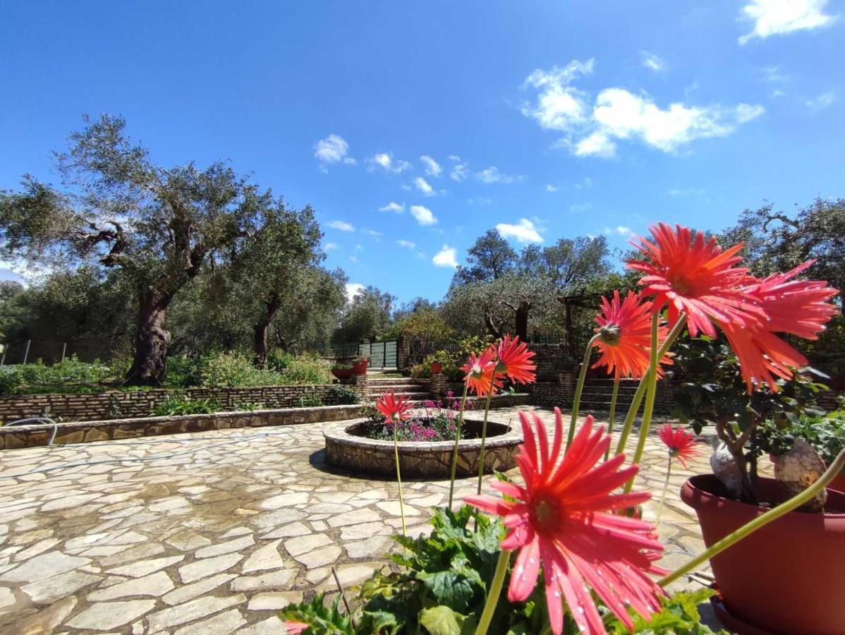 Villa Olive Garden, Kastanida - Paxoi Гайос Екстериор снимка