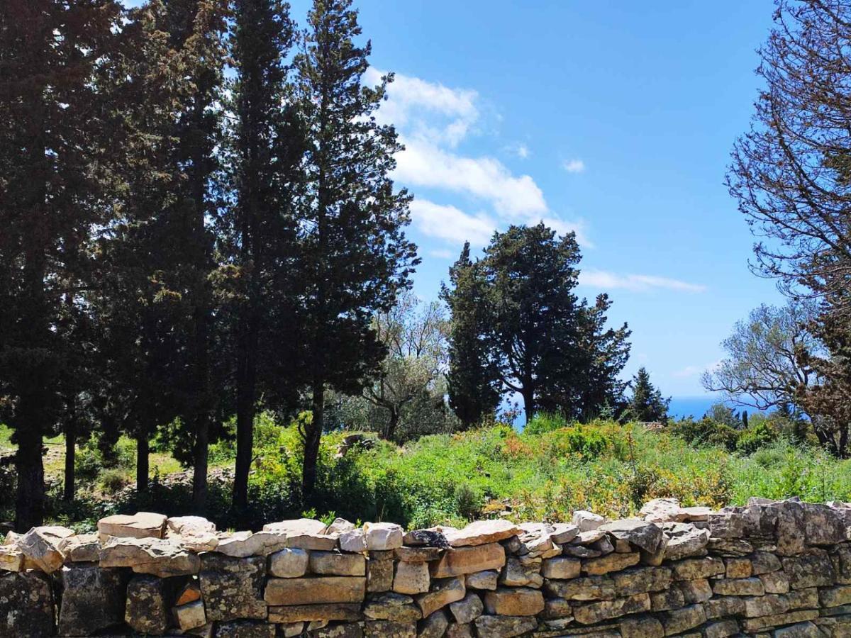 Villa Olive Garden, Kastanida - Paxoi Гайос Екстериор снимка